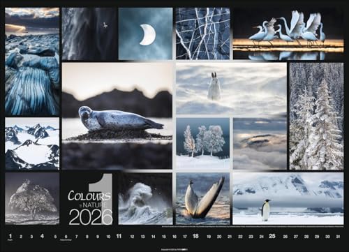 Kalender 'Colours of Nature' 2026: Großer Foto-Wandkalender im Querformat (68x49cm)