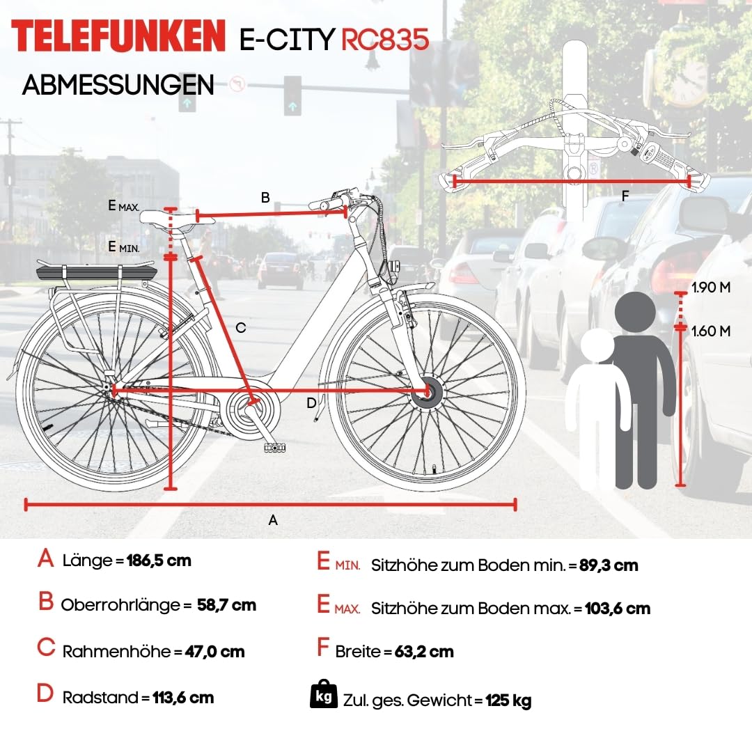 TELEFUNKEN (RC835) Multitalent E-Bike für Damen: Frontmotor, 3-Gang, V-Bremsen