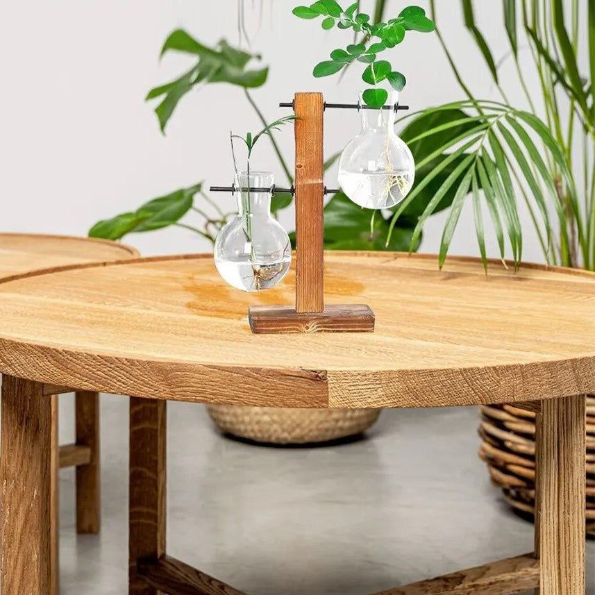 Transparente Glühbirnenvase mit Holzständer | Stilvolle Hydroponik-Deko3