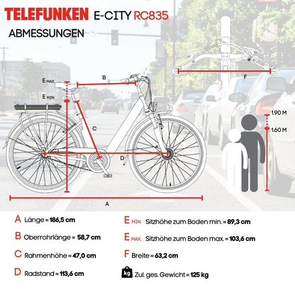 TELEFUNKEN (RC835) Multitalent E-Bike für Damen: Frontmotor, 3-Gang, V-Bremsen