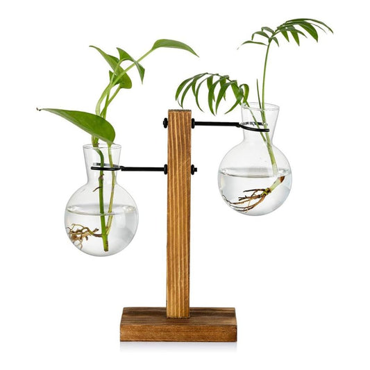 Transparente Glühbirnenvase mit Holzständer | Stilvolle Hydroponik-Deko