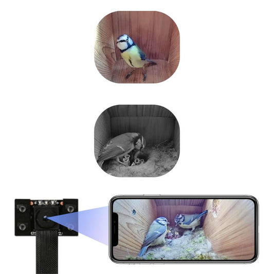 WIWACAM 4K WLAN Mini-Kamera für Nistkästen: Live-Übertragung auf Smartphone, Nachtsicht