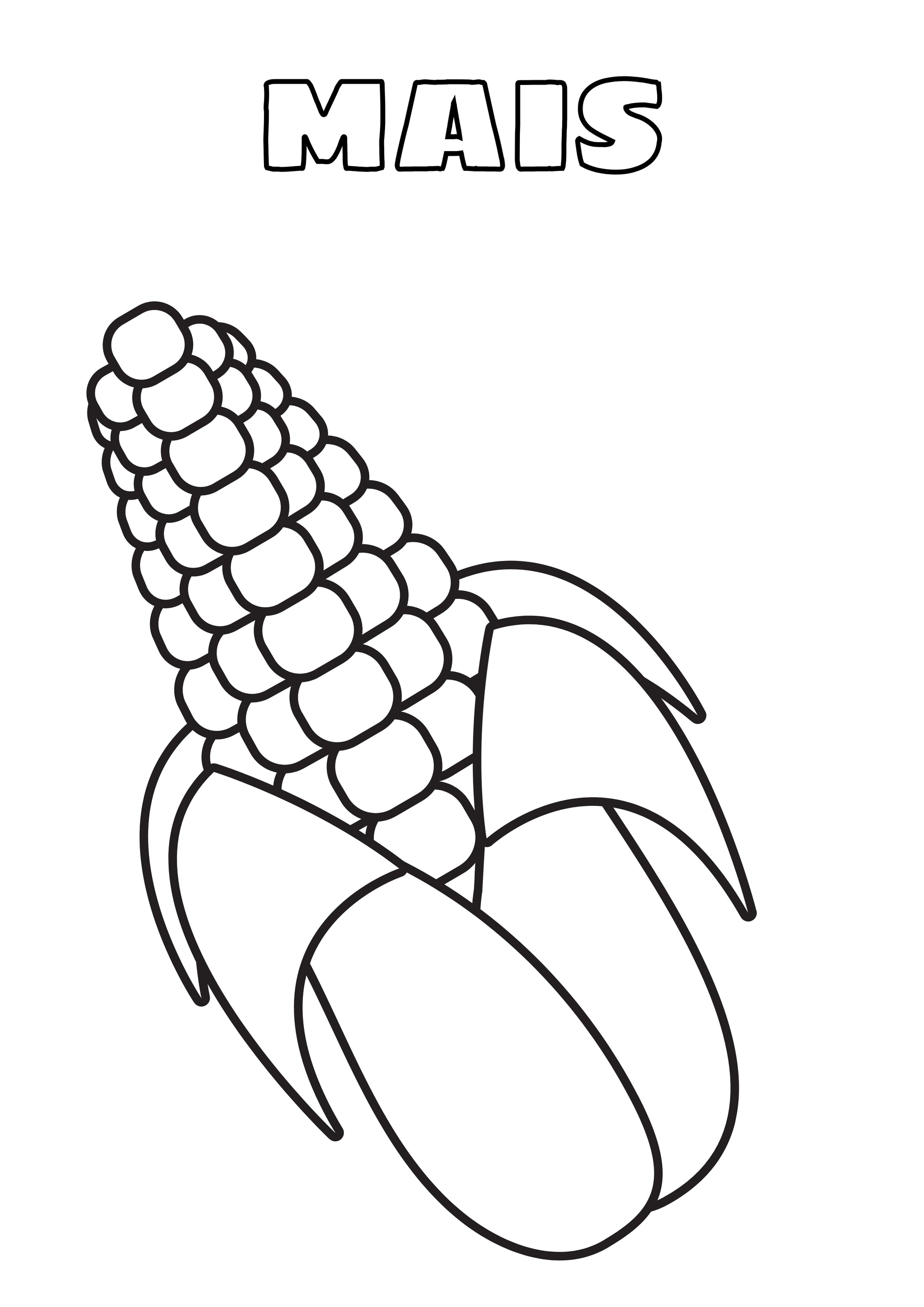 Malbuch für Kinder (DIN A4): Tiere, Zirkus, Früchte, Gemüse & Bonus Kapitel - Fahrzeuge (3-9 Jahre)