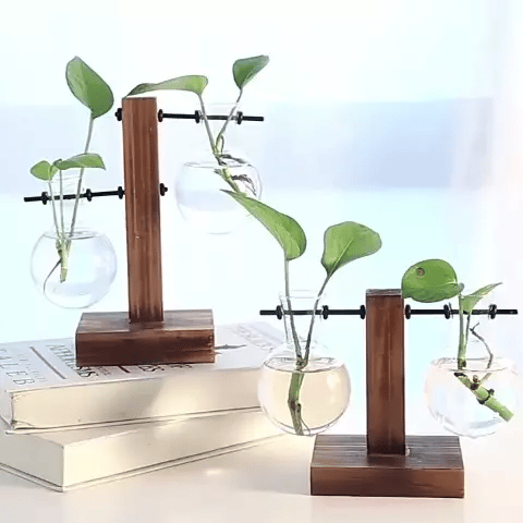 Transparente Glühbirnenvase mit Holzständer | Stilvolle Hydroponik-Deko